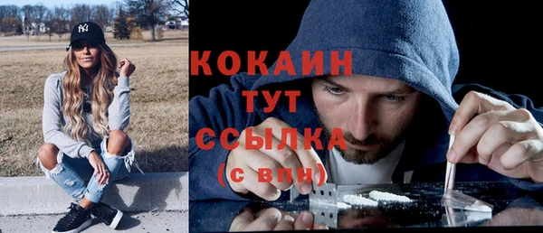 молекула духа Кодинск